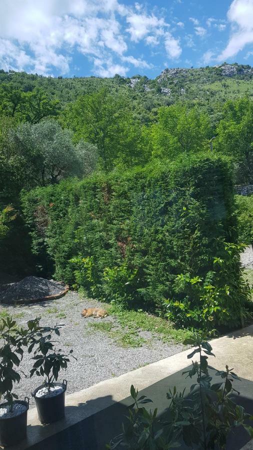 Rooms Lake View Balani Restaurant Shkoder Exterior photo