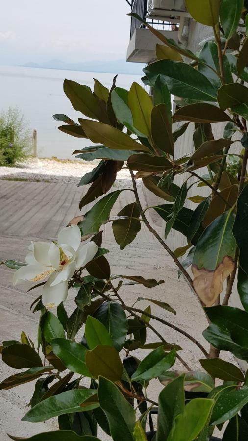 Rooms Lake View Balani Restaurant Shkoder Exterior photo